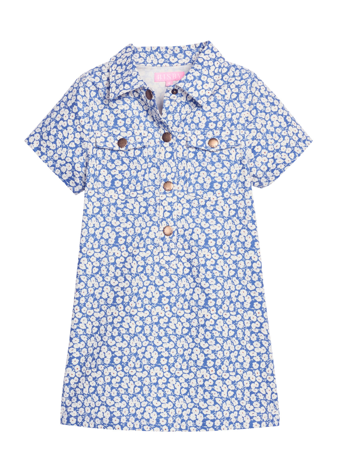 Safari Popover Dress in French Blue Floral